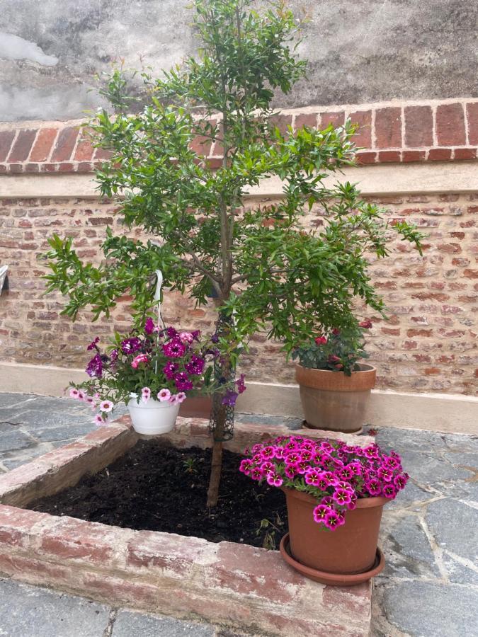 Residenza Nikol Appartamento Giulia Casale Monferrato Zewnętrze zdjęcie