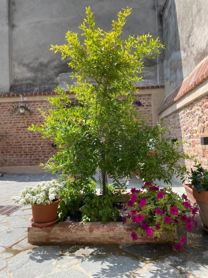 Residenza Nikol Appartamento Giulia Casale Monferrato Zewnętrze zdjęcie
